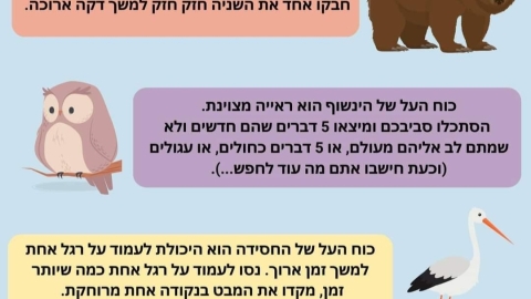 כח על חיות.jpg