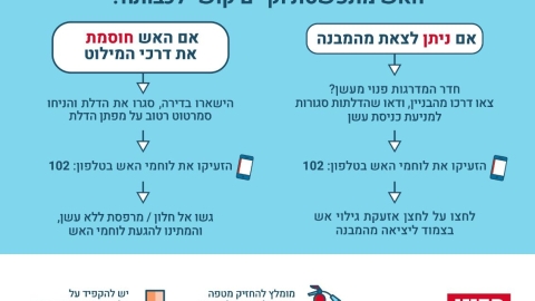 WhatsApp Image 2023-11-19 at 10.40.36.jpeg